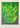 Michael Yaikel - Linóneo 5 colores 'Planta monocromo verde' Colección Exclusiva