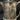 Chocolatera inglesa plaqué Reed & Barton finales s.XIX Bucarest Art & Antiques