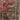 Alfombra Persa Tribal lana medallón rojo 254x170 Bucarest Art & Antiques