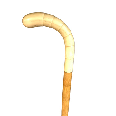 Baston de caña con mango de baquelita Bucarest Art & Antiques
