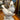 Figura pajaritos sobre rama marca Gerold Porzellan | Bucarest Art Gallery Bucarest Art & Antiques