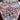 Jarrón porcelana chino Famille Rose Medallion Bucarest Art & Antiques