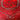 Alfombra delantero Cáucaso Ruso pelo de camello en rojo 77x130cms Colección Exclusiva