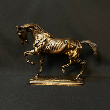 Figura francesa de bronce “Caballo desollado” Importacion26