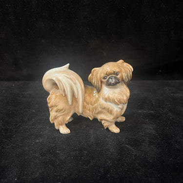 Figurita de porcelana Austriaca Augarten perrito Pekinés Bucarest Art & Antiques