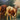 G. Brasseur - Óleo sobre tela ‘Vacas pastando’ Bucarest Art & Antiques