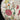 Jarrón de porcelana china famille rose 'flores e insectos' Bucarest Art & Antiques