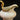 Juego de café porcelana alemana Rosenthal Pompadour borde dorado Bucarest Art & Antiques